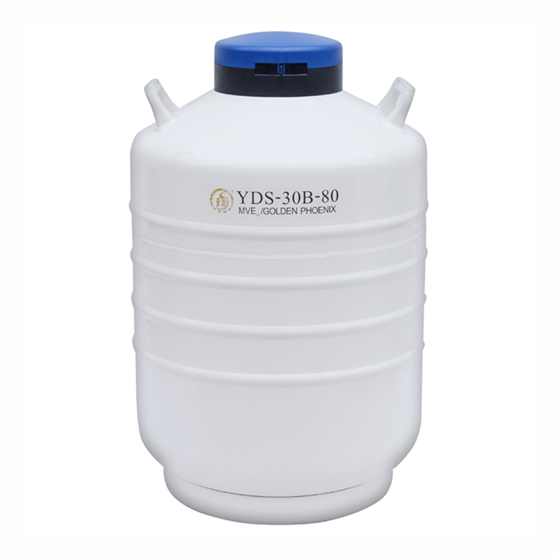 金凤液氮罐 运输型液氮容器 YDS-30B-80